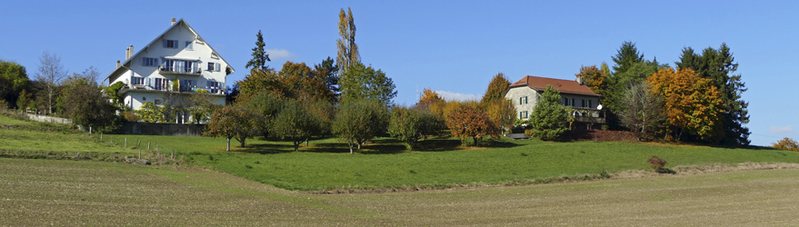 Bienvenue à Chevilly